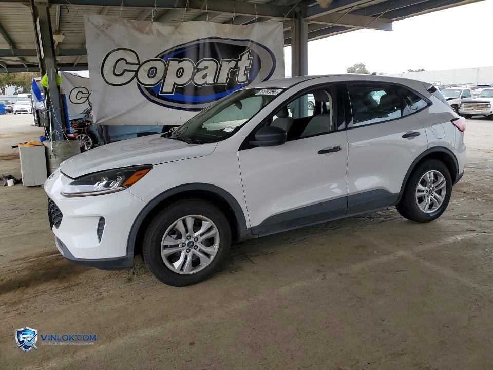 2020 FORD ESCAPE S – Lot 51792896 auction photo