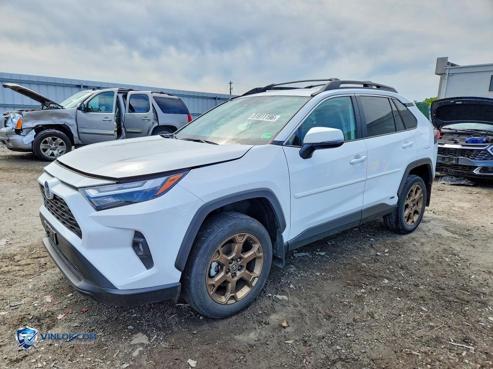 2023 TOYOTA RAV4 WOODLAND EDITION – Lot 51811196 auction photo