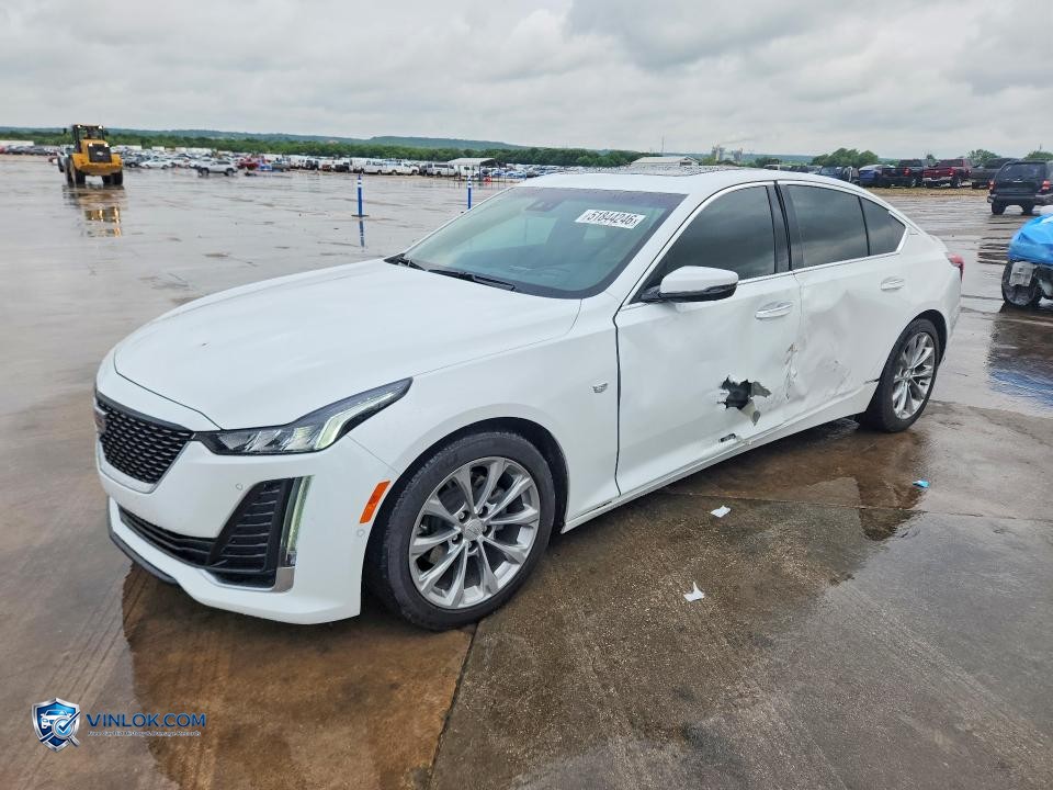 2024 CADILLAC CT5 PREMIUM LUXURY – Lot 51844246 auction photo