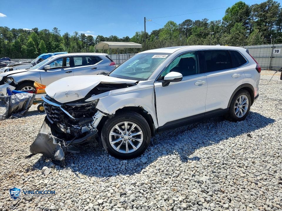 2025 HONDA CR-V EXL – Lot 51844916 auction photo