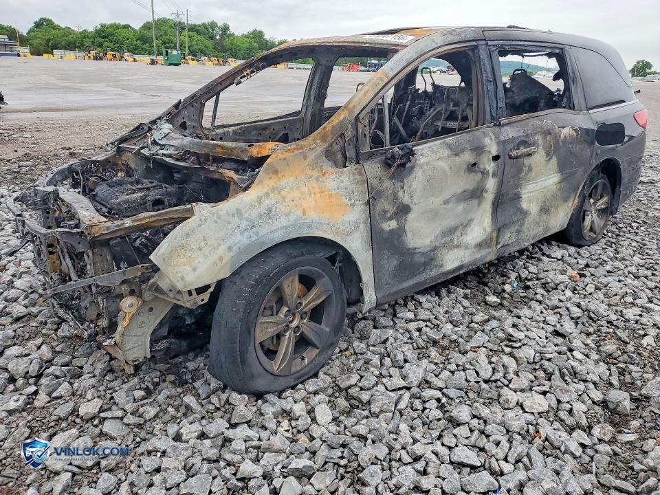 2020 HONDA ODYSSEY EXL – Lot 51847156 auction photo
