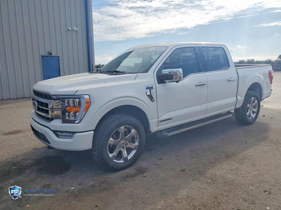 2021 FORD F150 SUPERCREW – Lot 51869026 auction photo