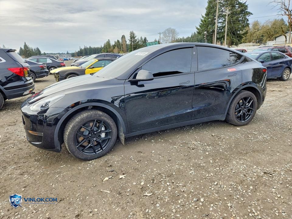 2024 TESLA MODEL Y – Lot 51891506 auction photo