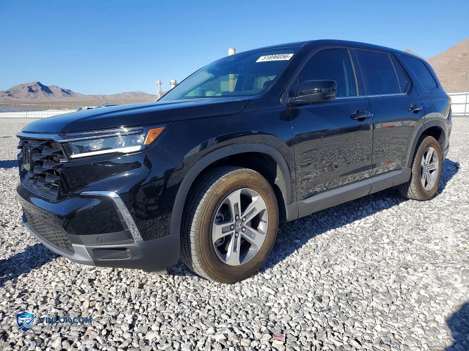 2025 HONDA PILOT EXL – Lot 51896056 auction photo