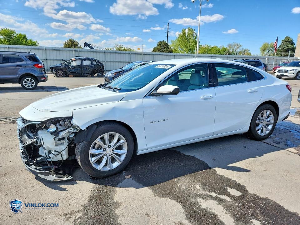 2019 CHEVROLET MALIBU LT – Lot 51897096 auction photo