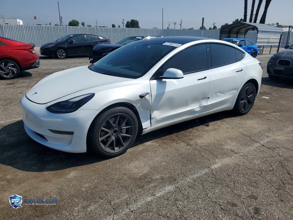 2023 TESLA MODEL 3 – Lot 51902316 auction photo