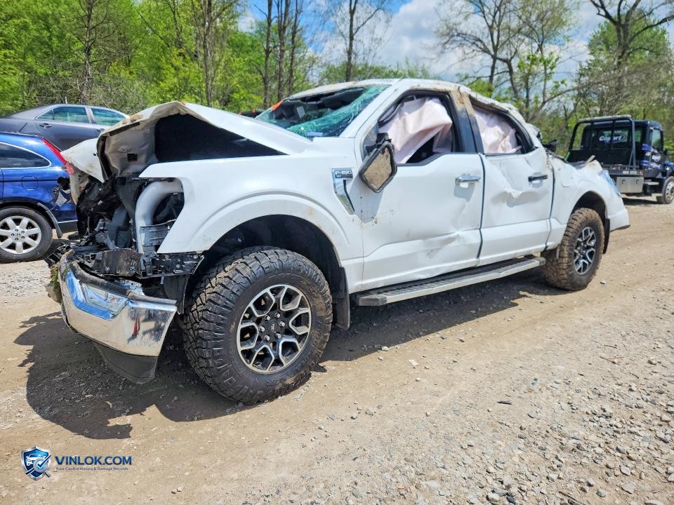 2023 FORD F150 SUPERCREW – Lot 51918886 auction photo