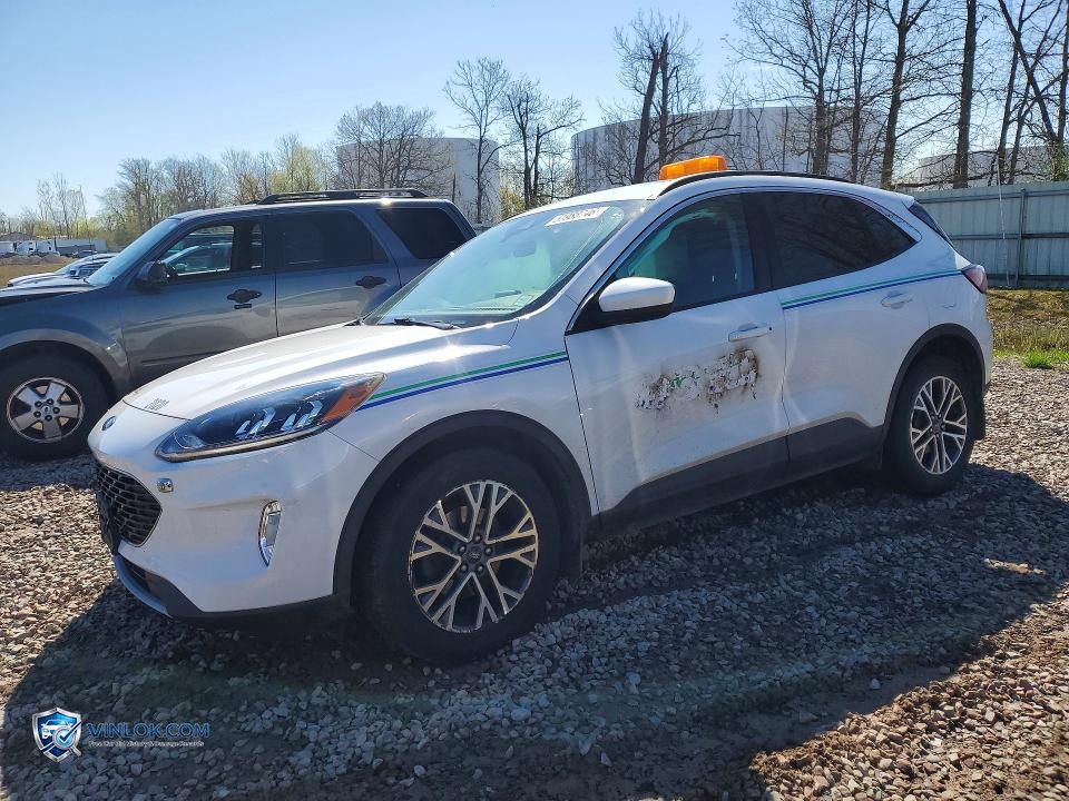 2020 FORD ESCAPE SEL – Lot 51988746 auction photo
