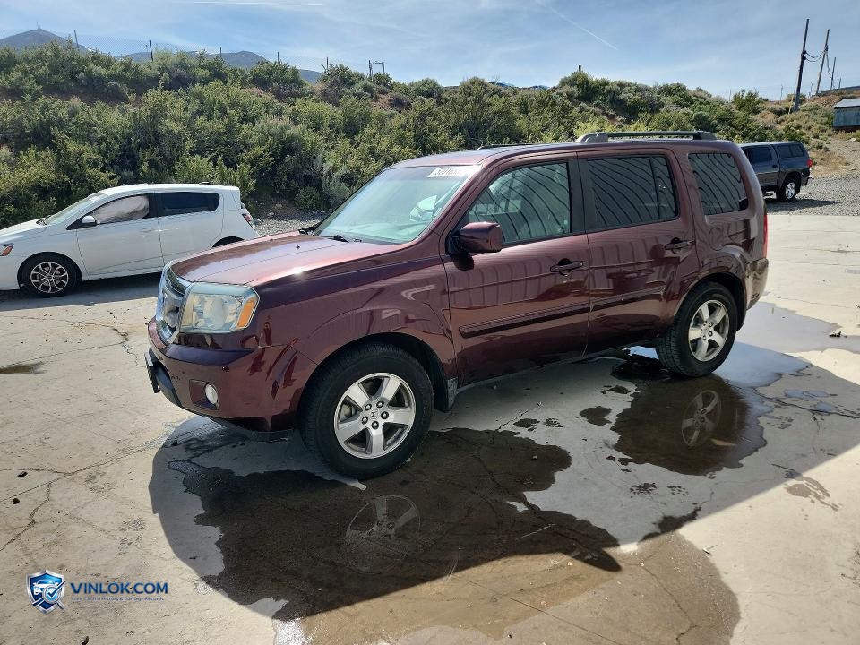 2009 HONDA PILOT EXL – Lot 52016536 auction photo
