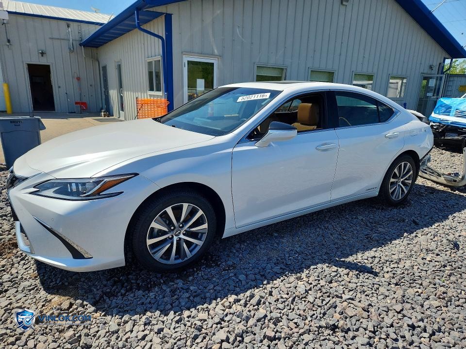 2021 LEXUS ES 300H – Lot 52021116 auction photo