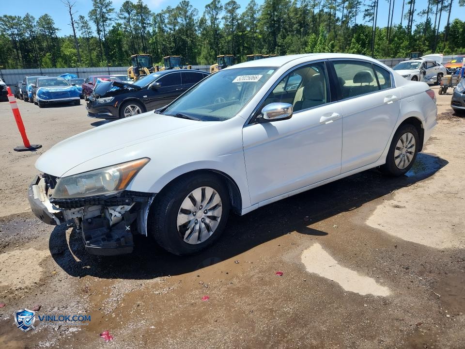 2008 HONDA ACCORD LX – Lot 52025066 auction photo