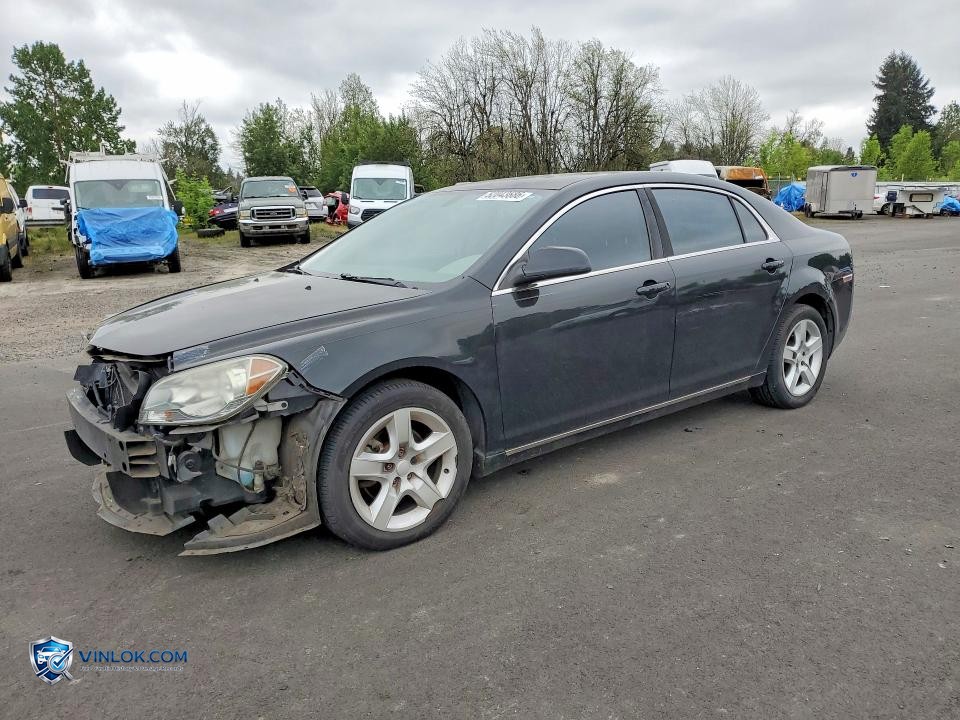 2009 CHEVROLET MALIBU 1LT – Lot 52043686 auction photo