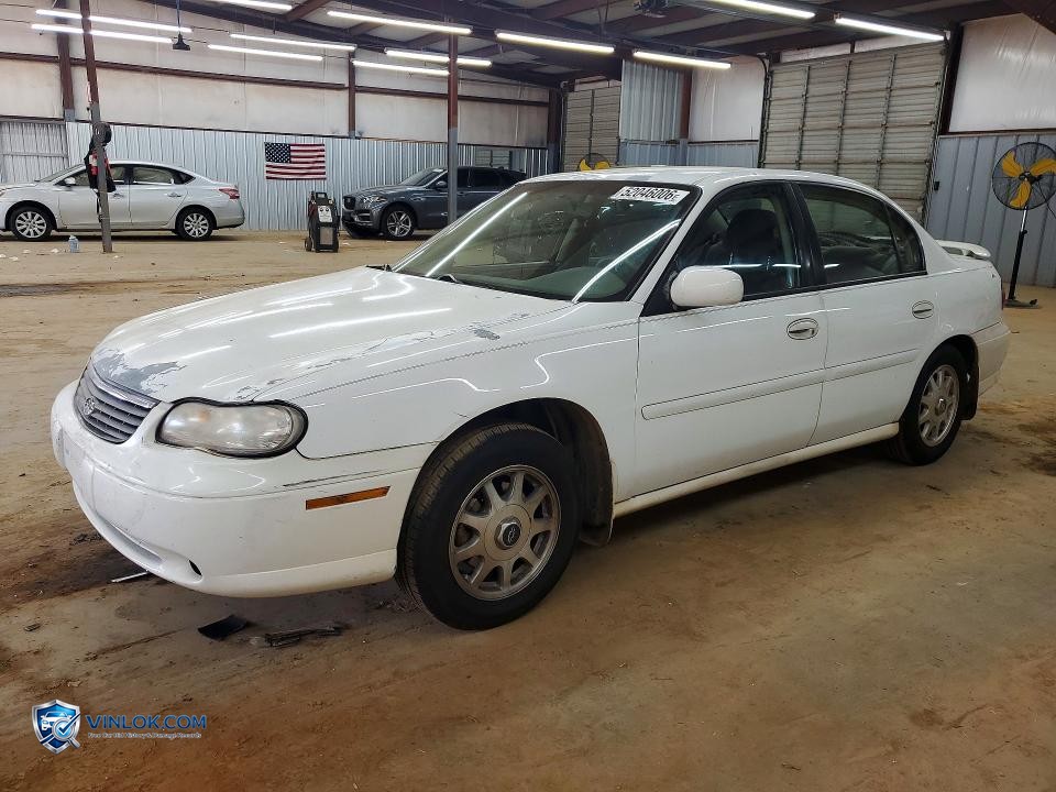 1999 CHEVROLET MALIBU LS – Lot 52046006 auction photo