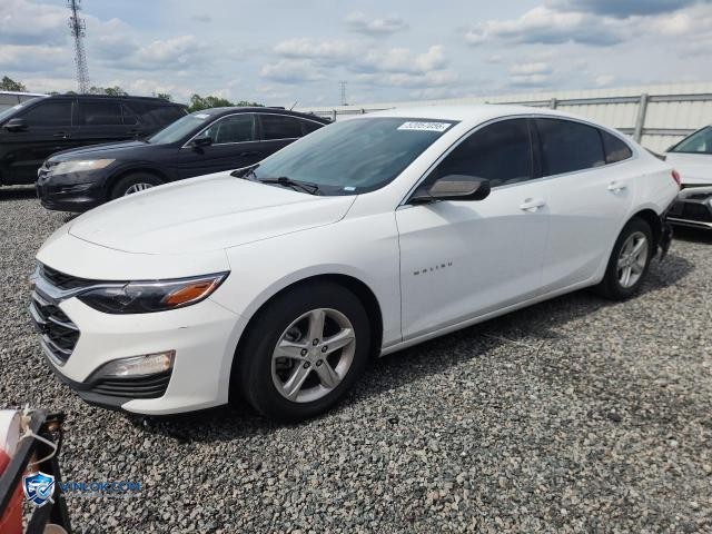 2021 CHEVROLET MALIBU LS – Lot 52057056 auction photo