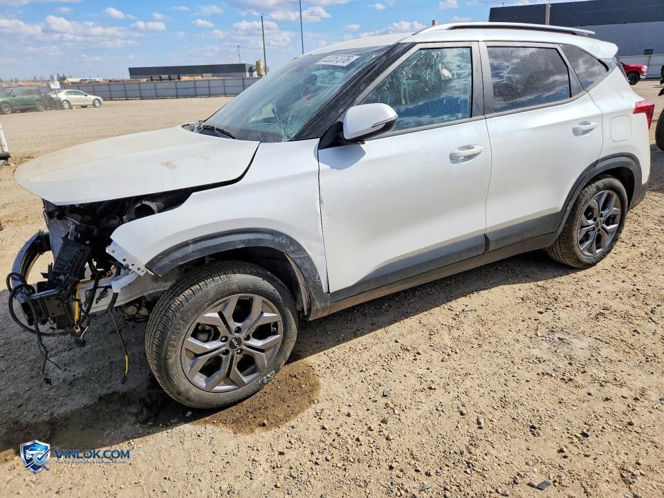 2024 KIA SELTOS LX – Lot 52057376 auction photo
