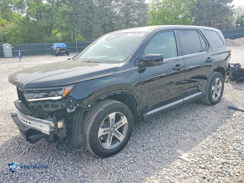 2025 HONDA PILOT EXL – Lot 52067046 auction photo