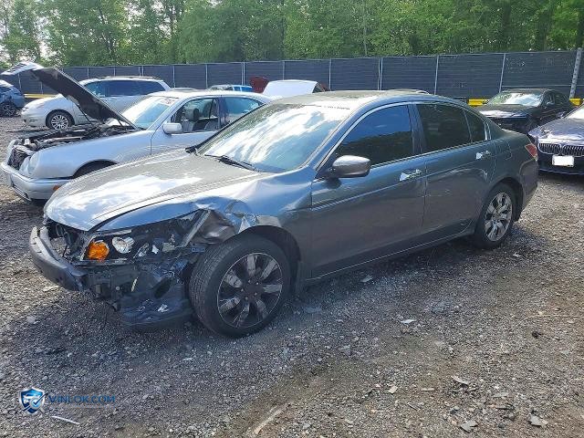 2010 HONDA ACCORD EXL – Lot 52074256 auction photo