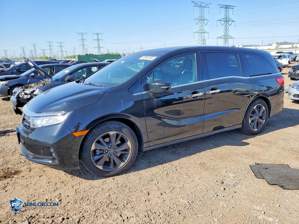 2022 HONDA ODYSSEY ELITE – Lot 52084186 auction photo