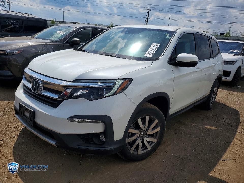 2021 HONDA PILOT EXL – Lot 52100386 auction photo
