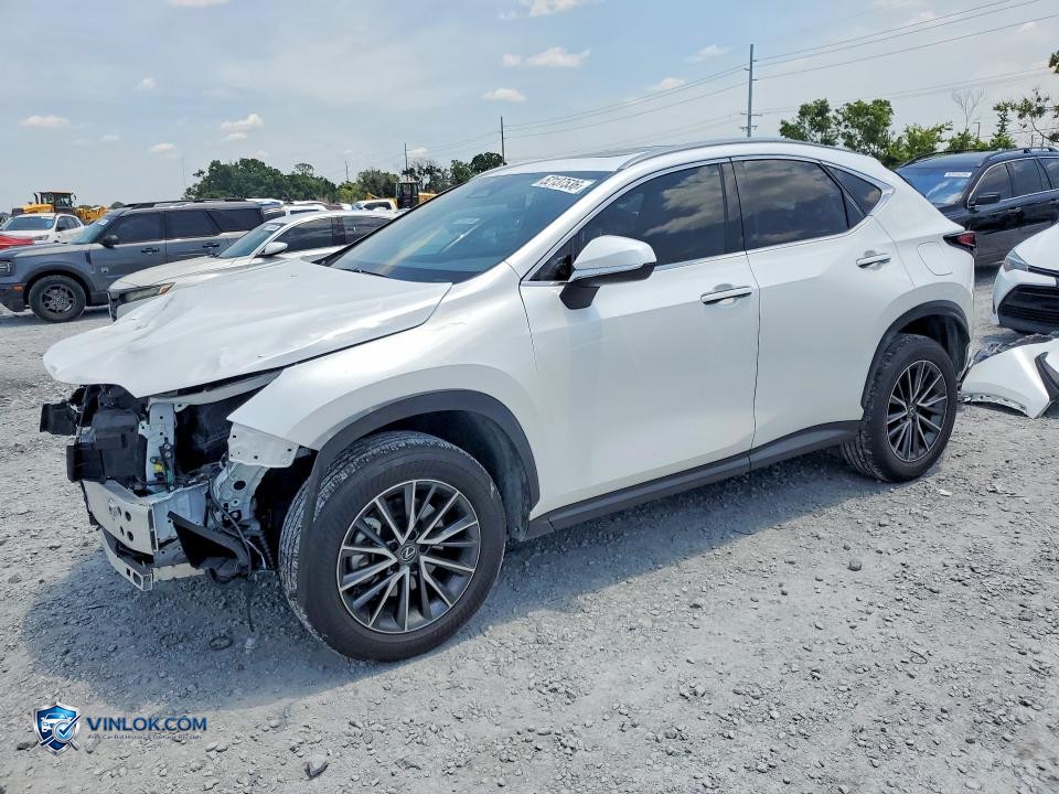 2024 LEXUS NX 350H BASE – Lot 52137536 auction photo