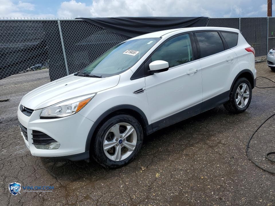 2014 FORD ESCAPE SE – Lot 52150456 auction photo