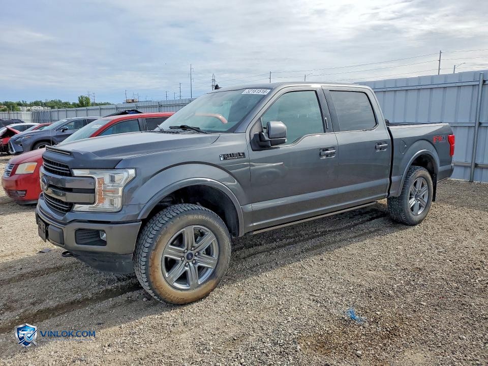 2019 FORD F150 – Lot 52161516 auction photo