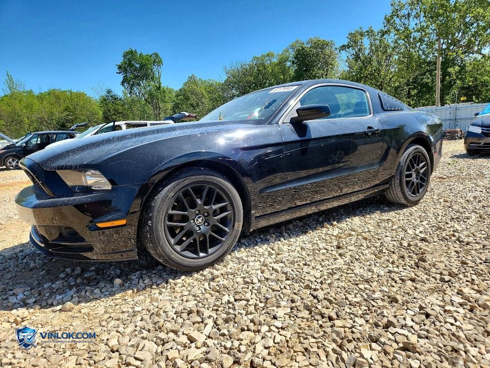2014 FORD MUSTANG – Lot 52179946 auction photo