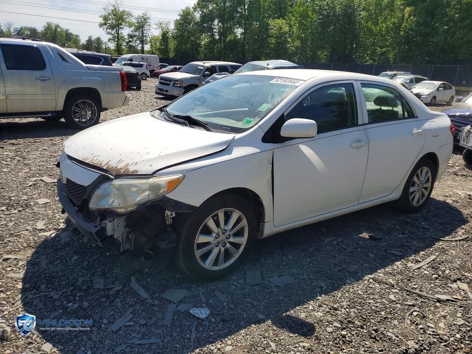 2010 TOYOTA COROLLA LE – Lot 52193666 auction photo