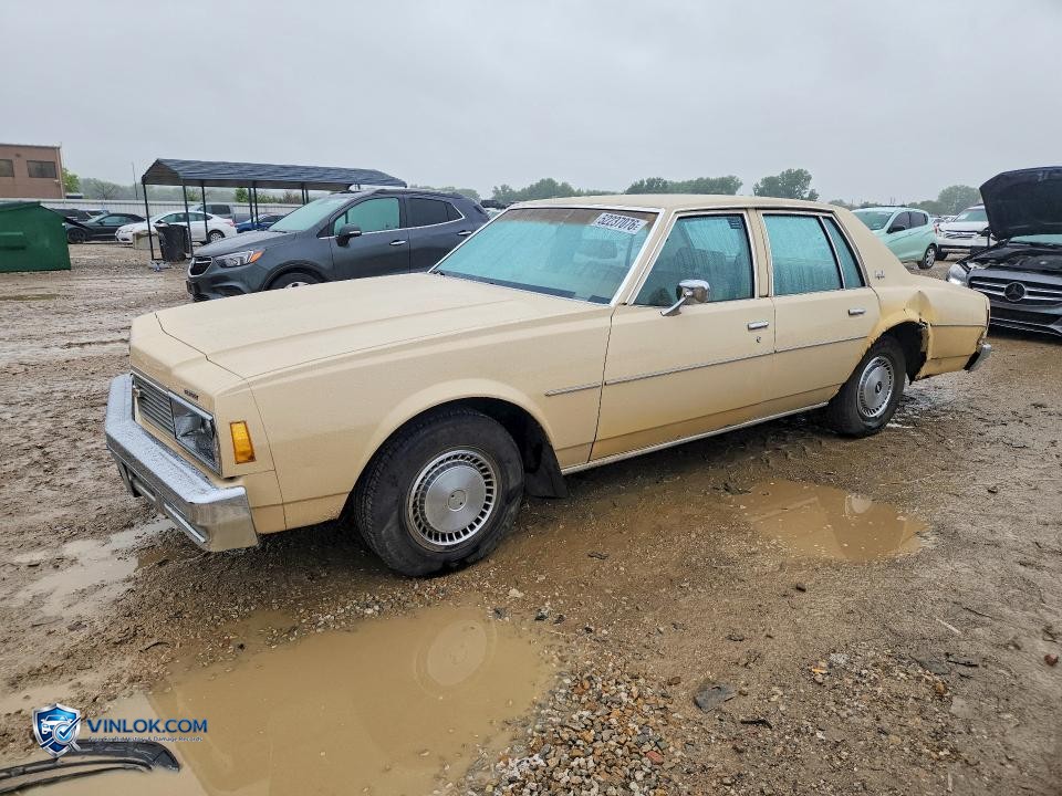 1979 CHEVROLET IMPALA – Lot 52237076 auction photo