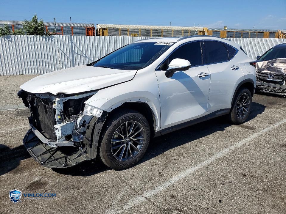 2025 LEXUS NX 250 BASE – Lot 52269896 auction photo