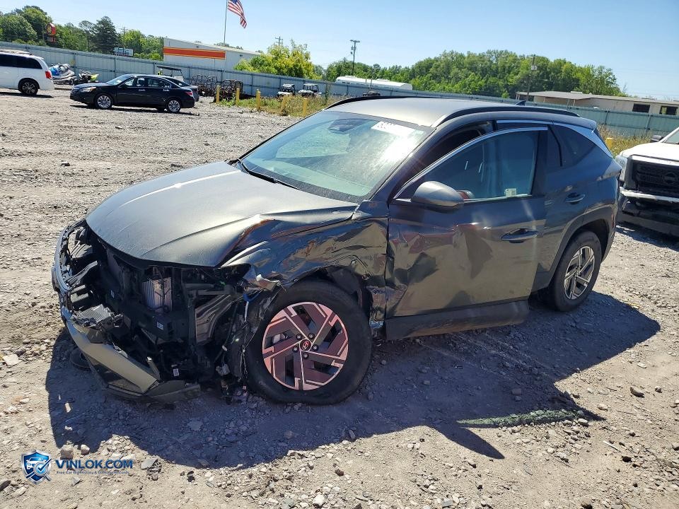 2025 HYUNDAI TUCSON BLUE – Lot 52271126 auction photo