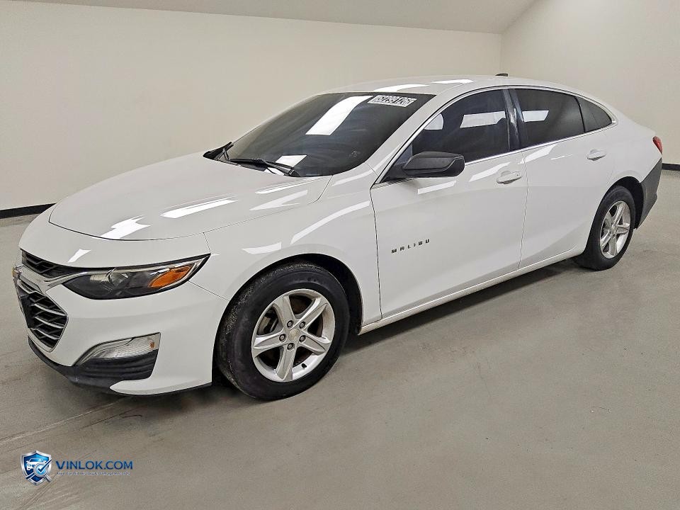 2019 CHEVROLET MALIBU LS – Lot 52299126 auction photo