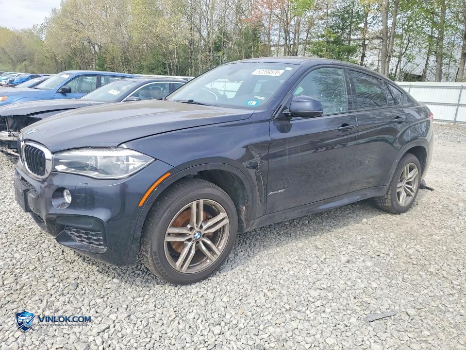 2015 BMW X6 XDRIVE35I – Lot 52299576 auction photo