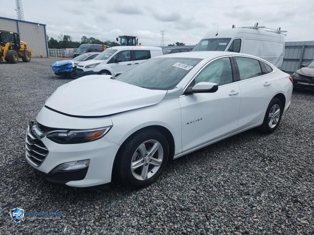 2024 CHEVROLET MALIBU LS – Lot 52303816 auction photo