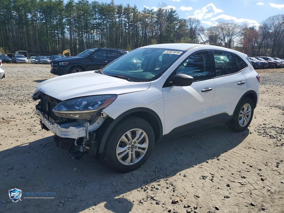 2022 FORD ESCAPE S – Lot 52321816 auction photo