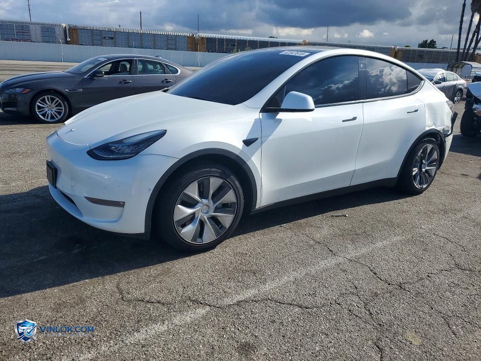 2022 TESLA MODEL Y – Lot 52347616 auction photo