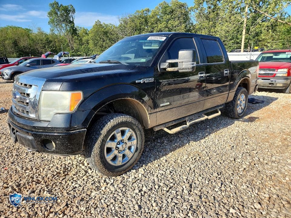 2014 FORD F150 SUPERCREW – Lot 52359206 auction photo