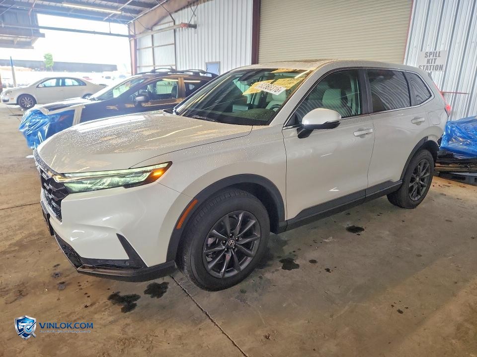 2026 HONDA CR-V EXL – Lot 52366316 auction photo