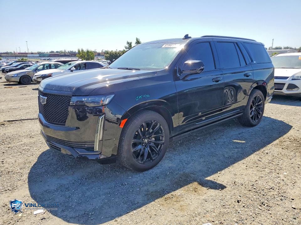 2024 CADILLAC ESCALADE SPORT PLATINUM – Lot 52398176 auction photo