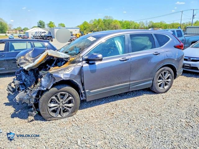2020 HONDA CR-V EXL – Lot 52402196 auction photo