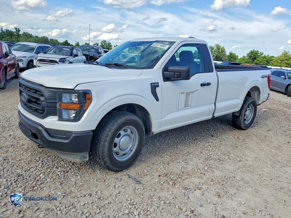 2023 FORD F150 – Lot 52411666 auction photo