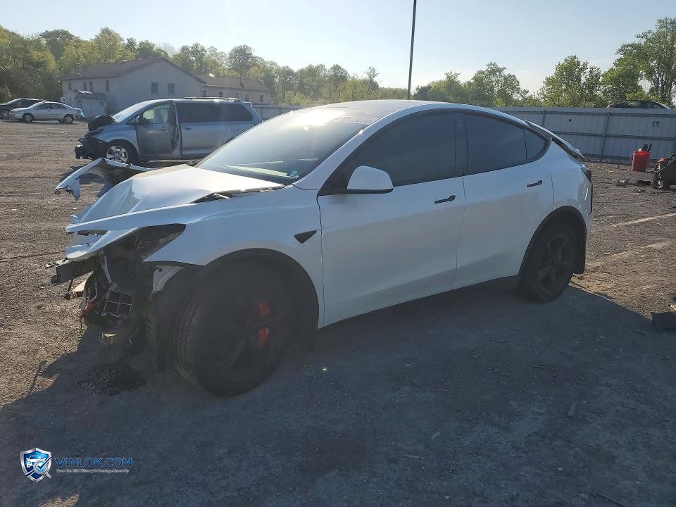 2021 TESLA MODEL Y – Lot 52413876 auction photo