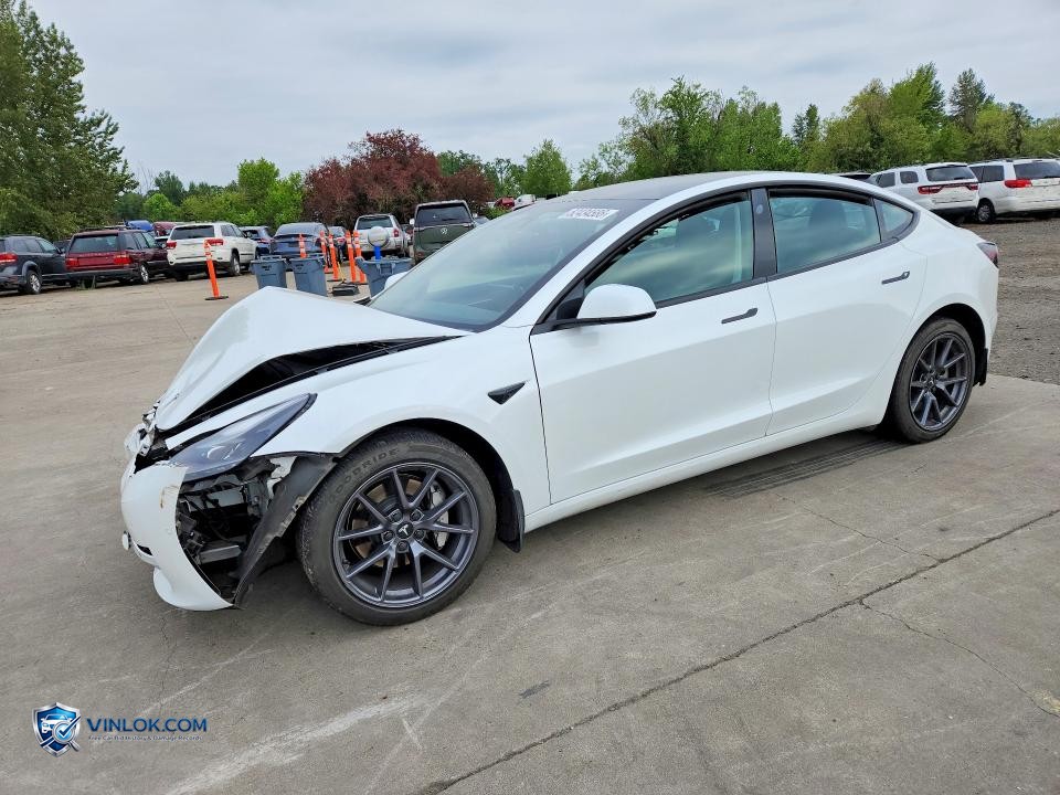 2021 TESLA MODEL 3 RWD W/STANDA – Lot 52434586 auction photo