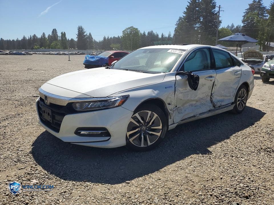 2019 HONDA ACCORD HYBRID EXL – Lot 52457026 auction photo