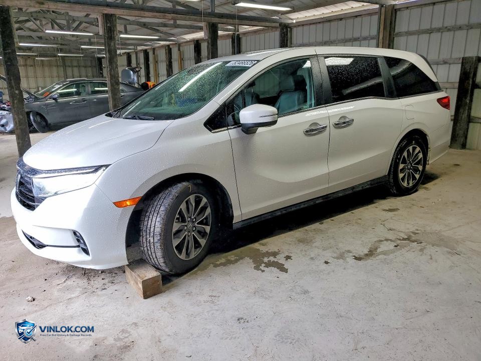 2024 HONDA ODYSSEY EXL – Lot 52466526 auction photo