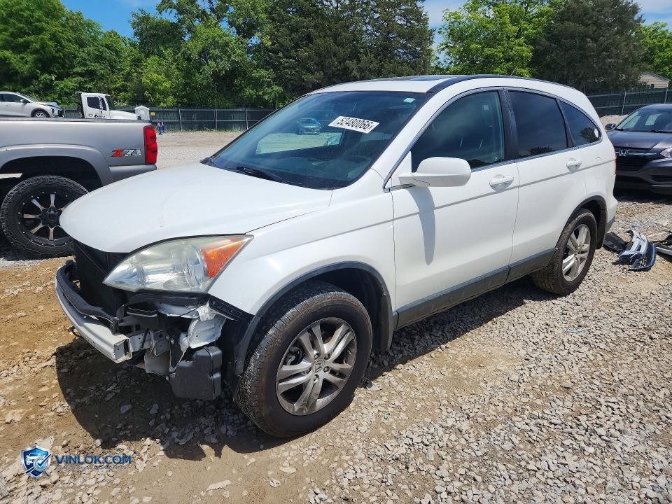 2010 HONDA CR-V EXL – Lot 52480066 auction photo