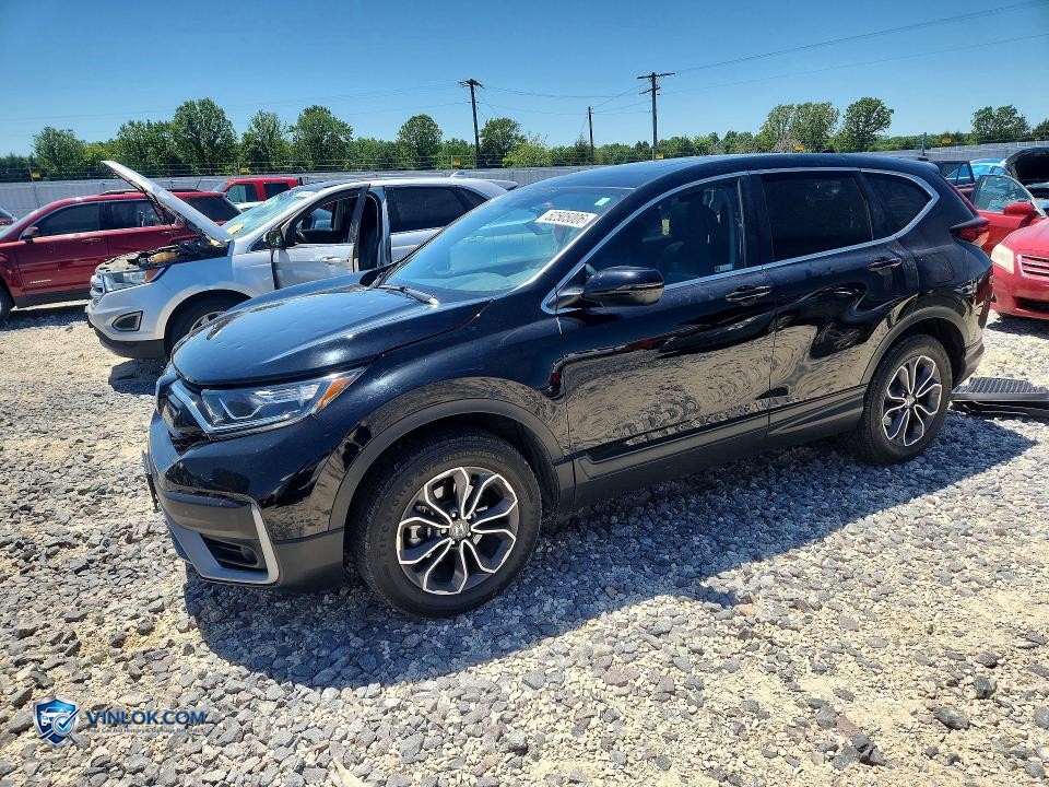 2020 HONDA CR-V EX – Lot 52505006 auction photo
