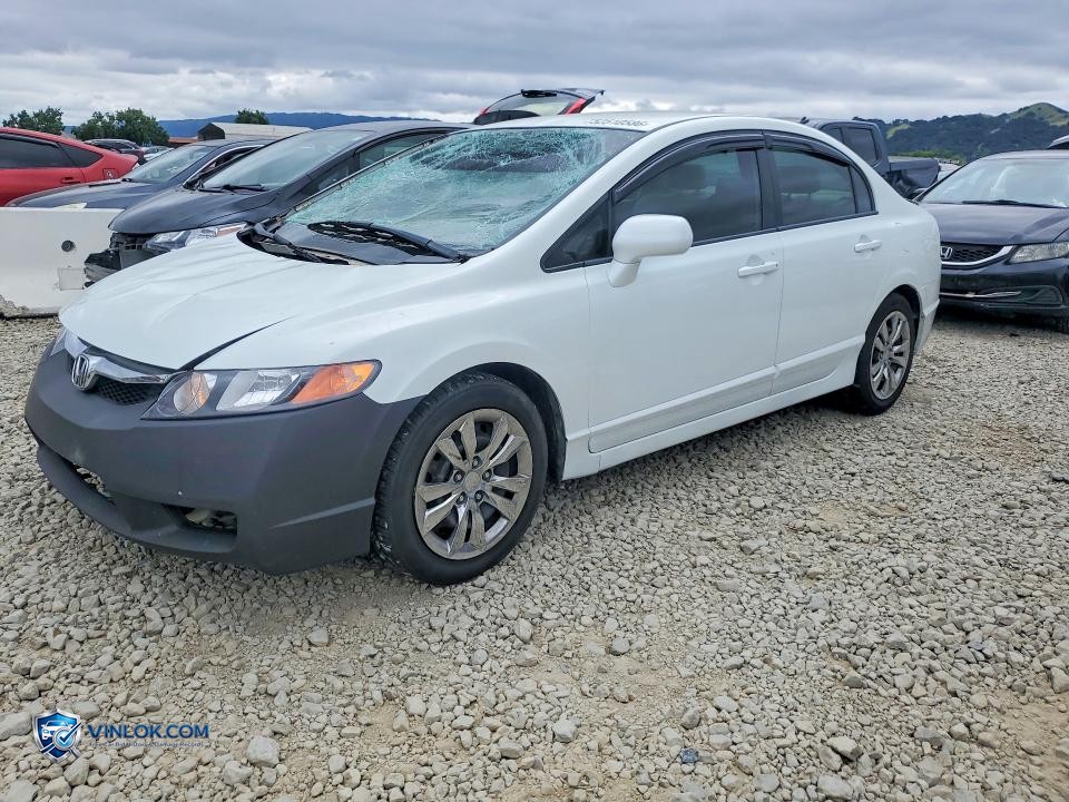 2007 HONDA CIVIC LX – Lot 52510586 auction photo