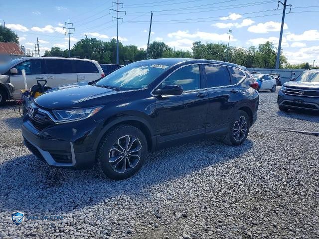 2020 HONDA CR-V EX – Lot 52554736 auction photo