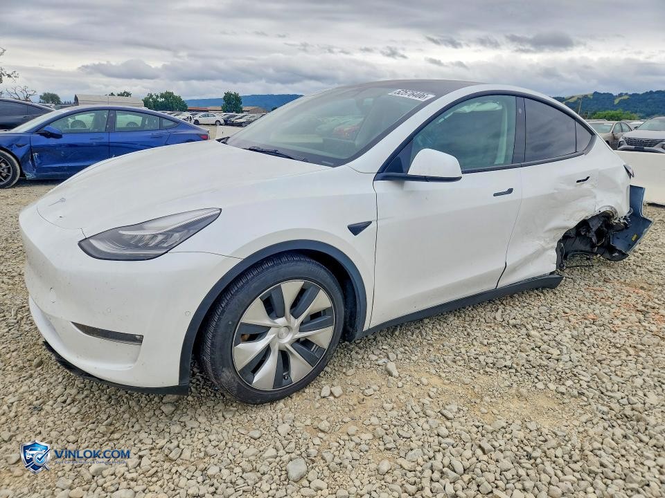 2022 TESLA MODEL Y – Lot 52576406 auction photo